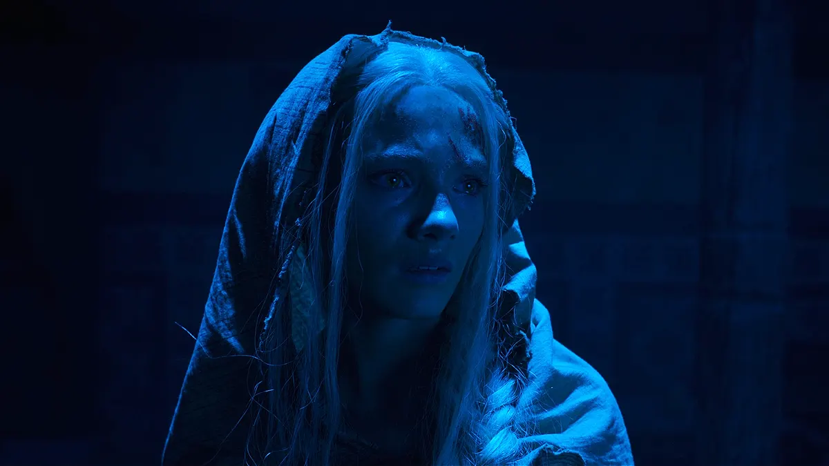 the witcher elder blood