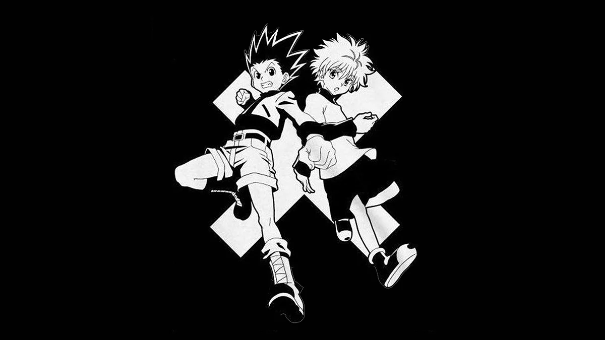 hunter x hunter