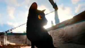 critica flow pelicula 2024