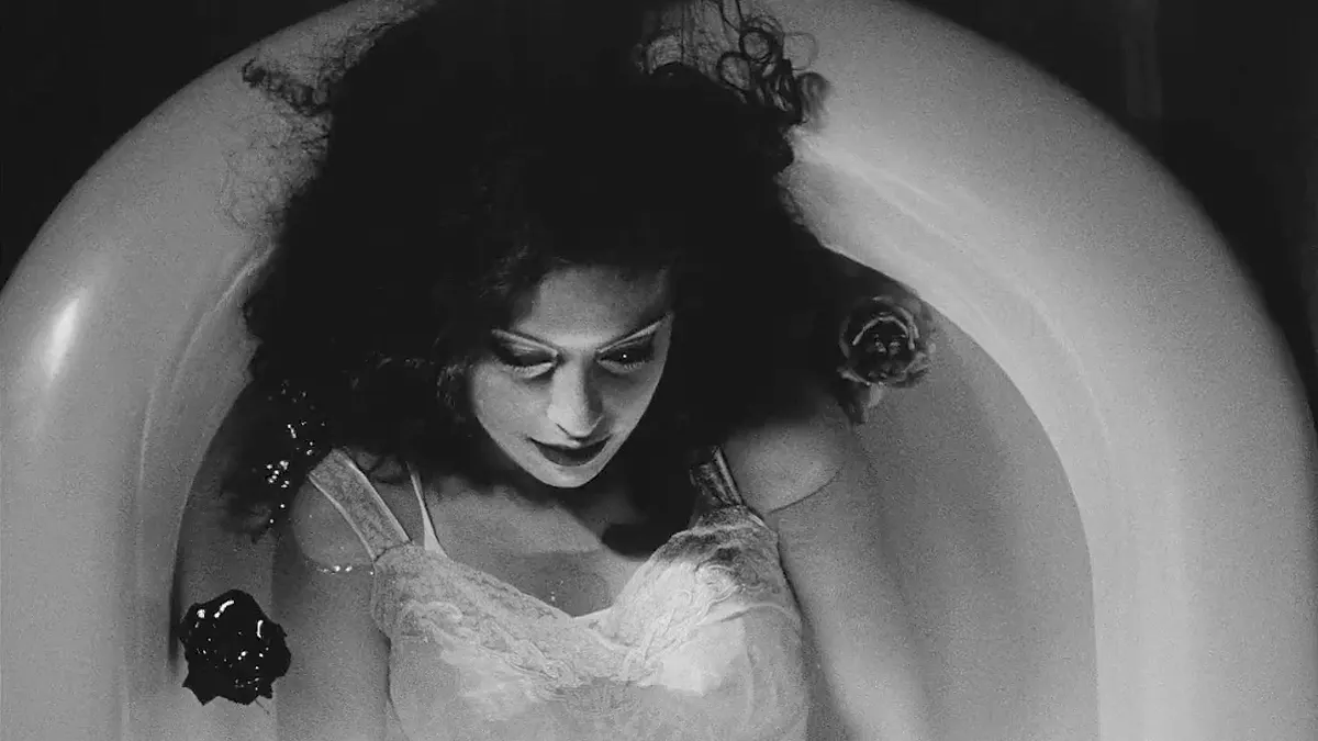 sofia coppola peliculas