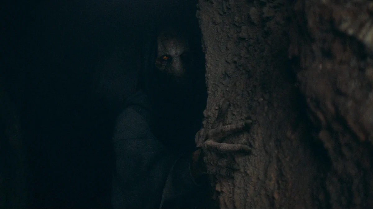 the acolyte darth plagueis