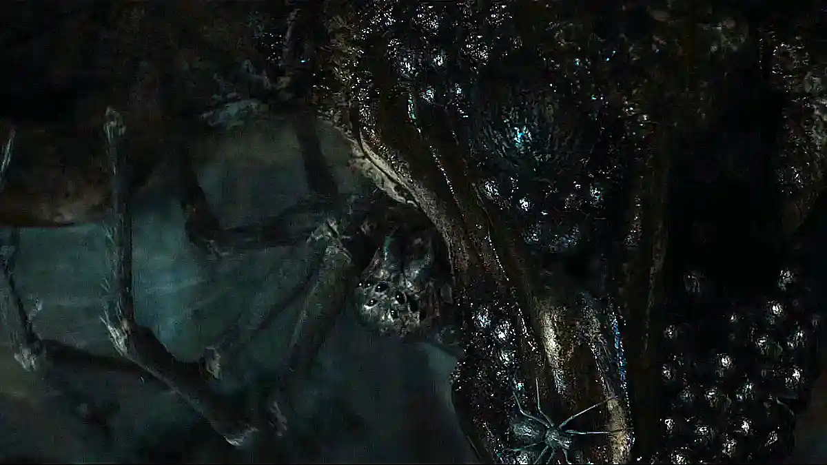 los anillos de poder shelob