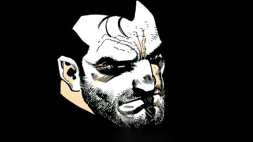 the punisher war zone