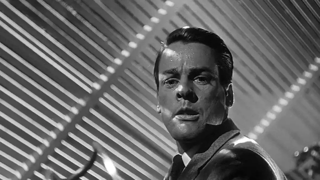 la invasion de los usurpadores de cuerpos snatching