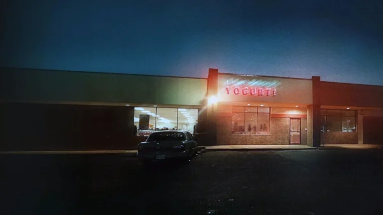 los asesinatos de la tienda de yogur serie