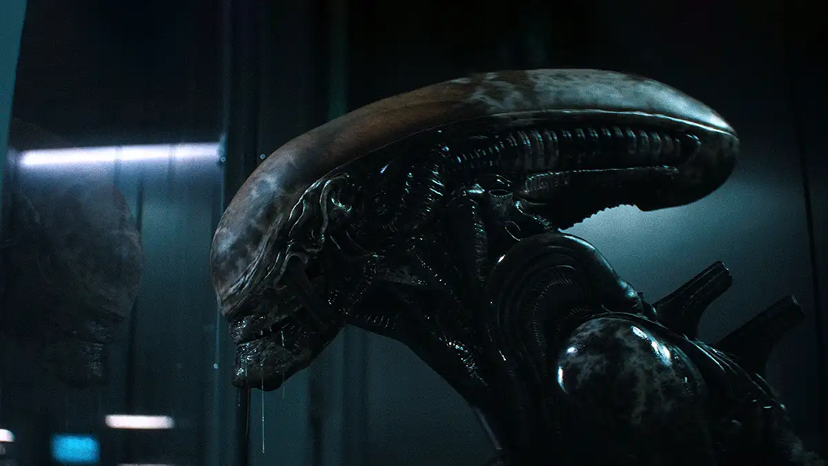 alien earth wendy comunicacion xenomorfos