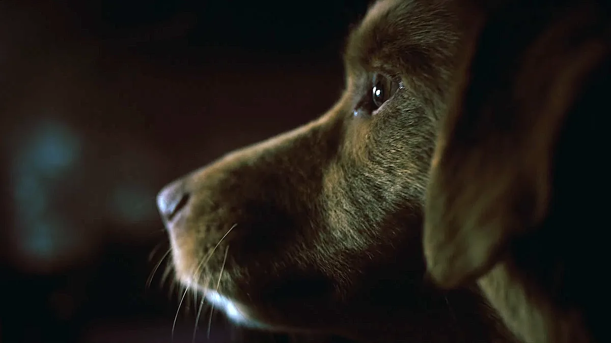 critica good boy 2025