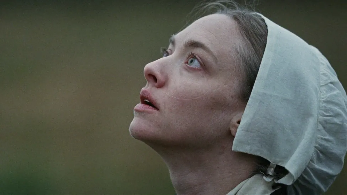 critica el testimonio de ann lee