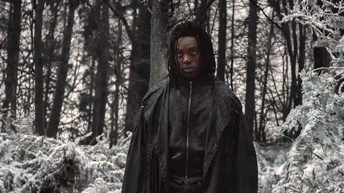 harry potter serie reparto