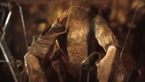 proyecto fin del mundo rocky