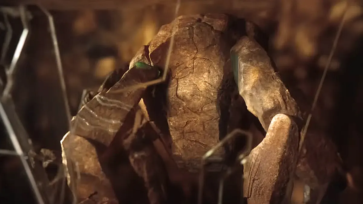 proyecto fin del mundo rocky